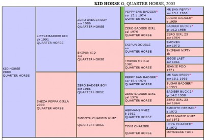 Click Pedigree to Enlarge