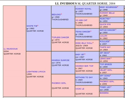 Click to enlarge.