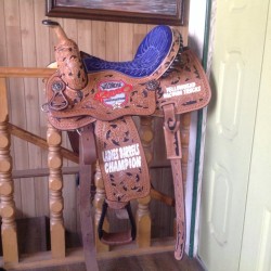 WRA Championship Saddle