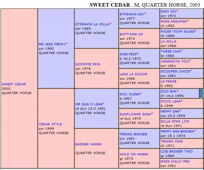 Sweet Cedar