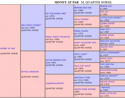 Click to enlarge Money At Par's pedigree