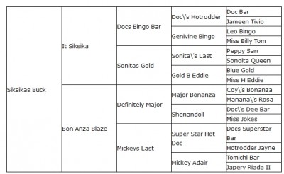 Click To Enlarge Pedigree