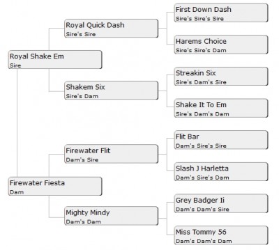Fiesta Royale's Pedigree