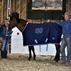 Paystreak - 2 Year Old sold for $20,000 at auction in September 2013. 