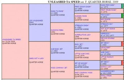 Click to enlarge Unleashed Ta Speed's pedigree