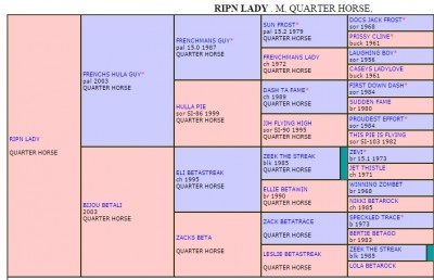 Pedigree for Ripin Lady, click to enlarge