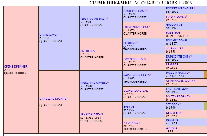 CrimeDreamer