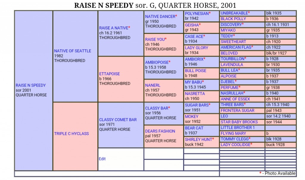 Raise N Speedy