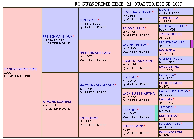 FC Guys Prime Time