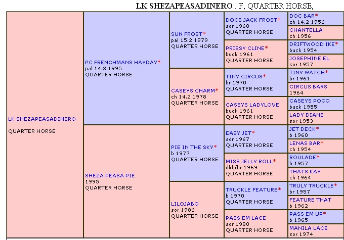 LK Sheazapeasadinero