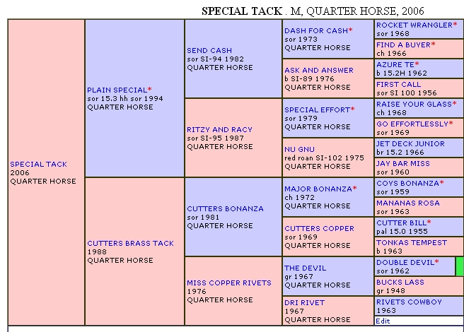 Special Tack