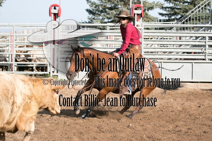 Used with permission by Roughstock Studio to make a point :)
