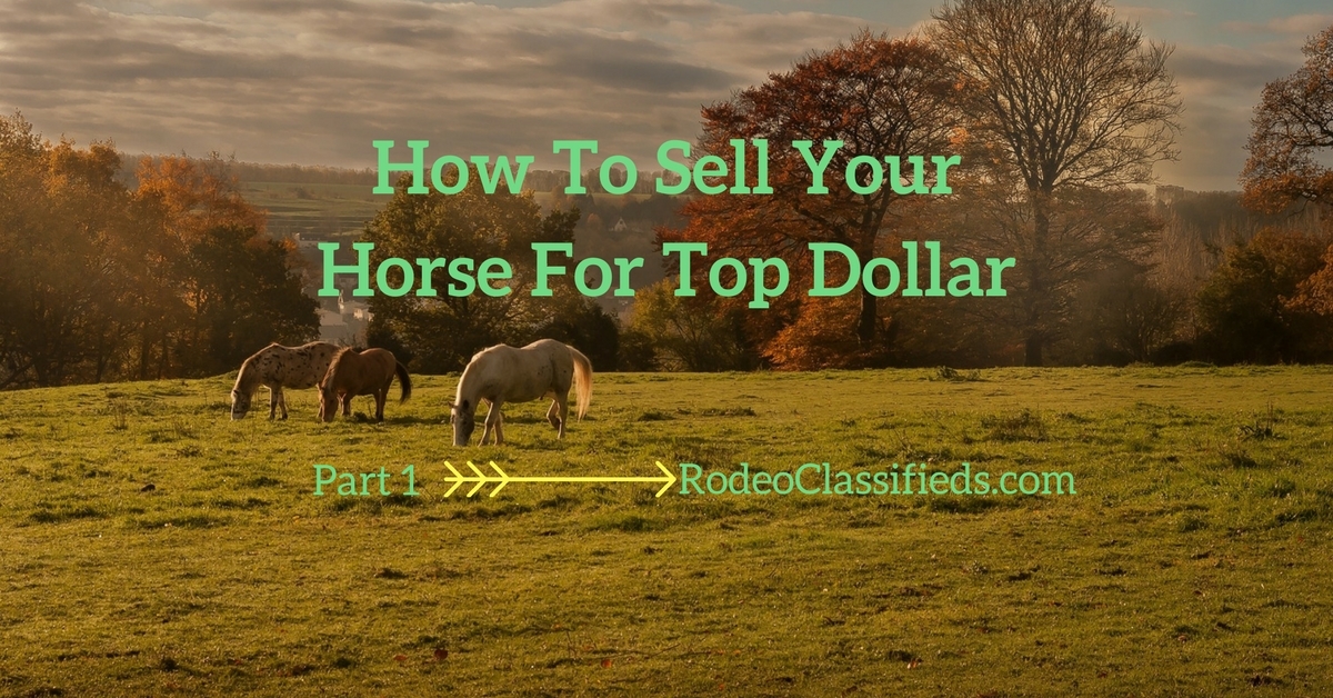 How to sell your horse for top dollar