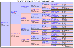 Click Pedigree to Enlarge