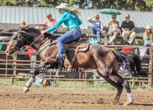 1D/2D Solid Barrel Mare - Frosted Witchy Woman (Dazzle)